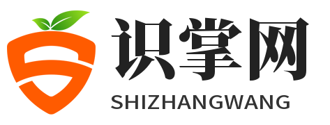 識掌網(wǎng)-記錄人生、關(guān)愛互聯(lián)網(wǎng)